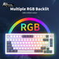 Royal Kludge RK H81 80% Gasket Structure Wireless Mechanical Gaming Keyboard